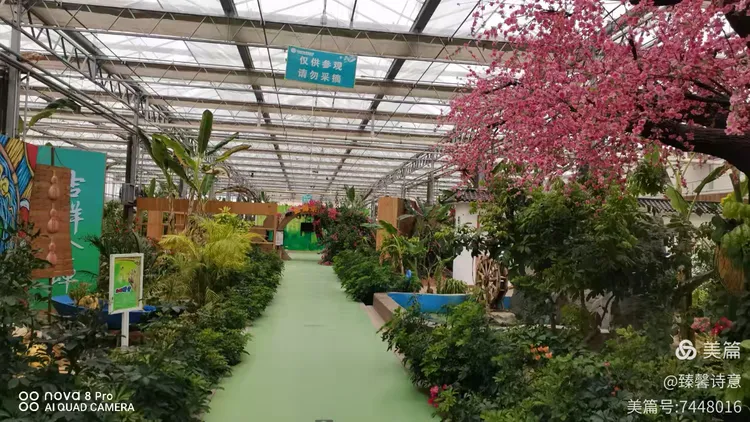 河北省故城县以岭康养庄园之中国金蝉文化馆